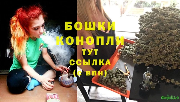 марки lsd Гусиноозёрск