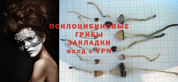 ALPHA-PVP Гусев