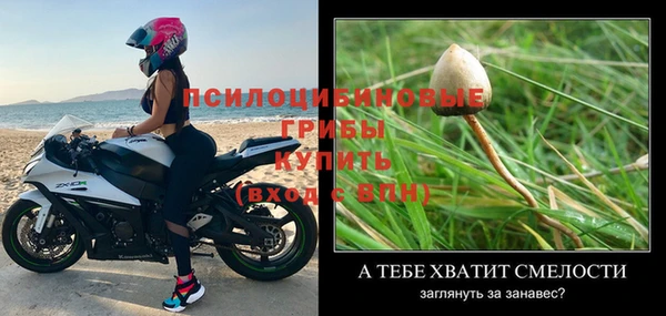 ALPHA-PVP Гусев