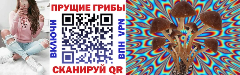 Псилоцибиновые грибы Magic Shrooms  Павловск 